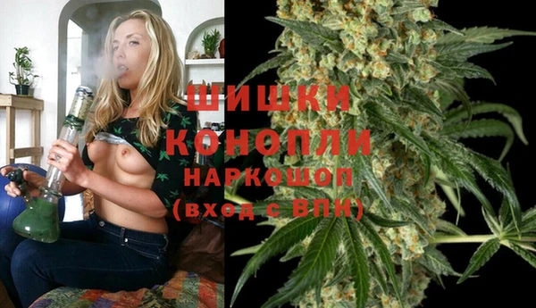 стафф Козловка