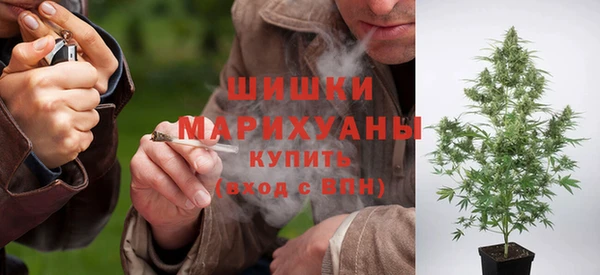 стафф Козловка
