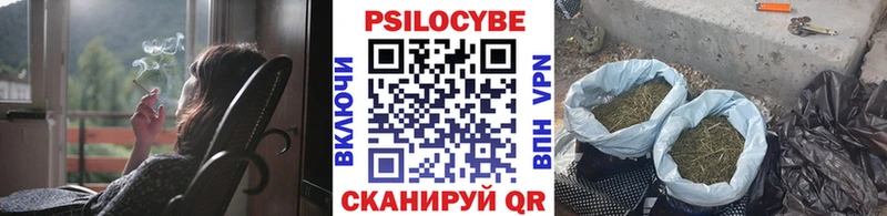 Галлюциногенные грибы MAGIC MUSHROOMS  Купить  Рассказово 