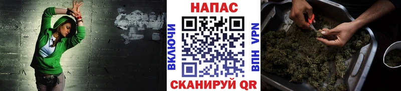 Бошки Шишки планчик  Купить  Рассказово 